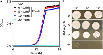 Chromosome 1 trisomy confers resistance to aureobasidin A in Candida albicans